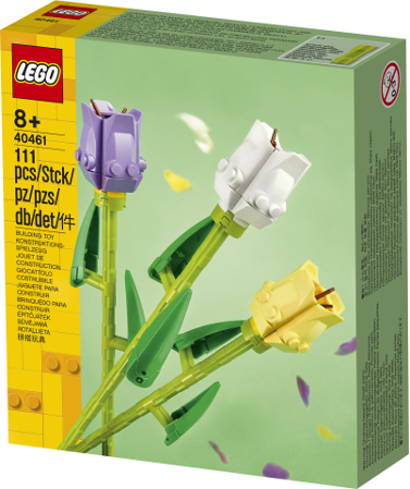 40461 Tulips Box 01