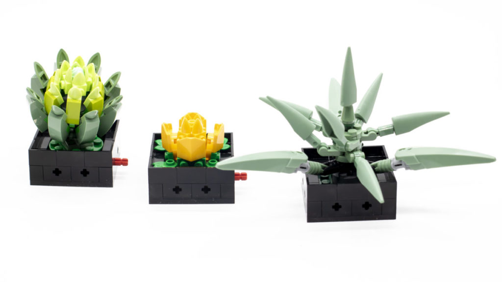LEGO The Botanical Collection 10309 Succulents 27 1024x576