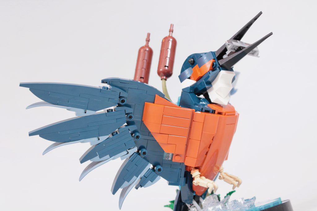 LEGO Icons 10331 Kingfisher Bird review 20 1024x683
