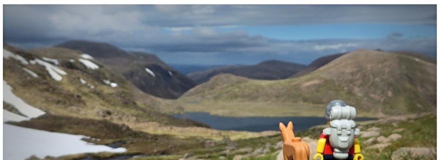 Brick Pic of the Day: 25 July 16