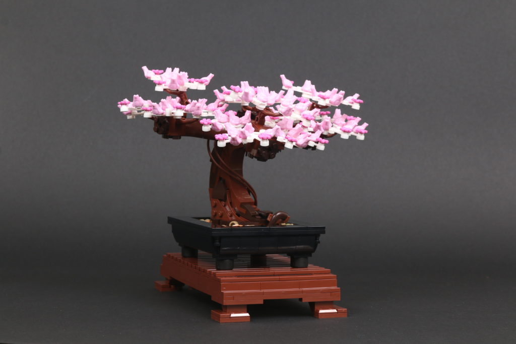 LEGO Botanical Collection 10281 Bonsai Tree review 44