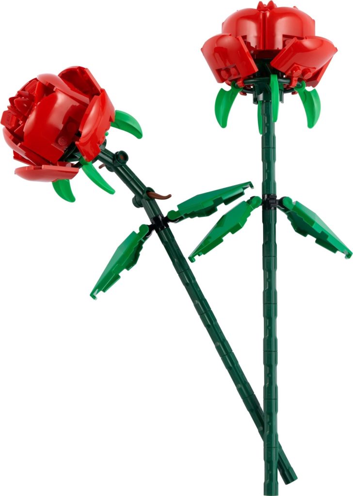 40460 Roses 1 1